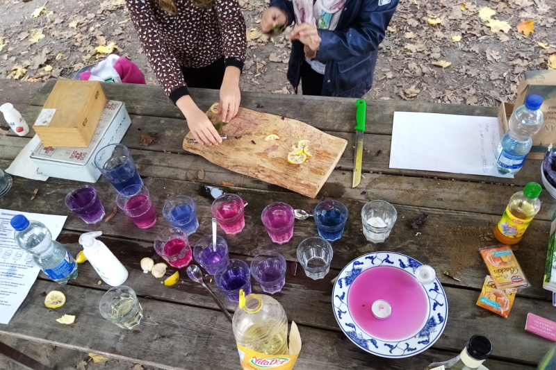 Mädchen experimentieren mit Gläsern mit farbigem Wasser auf einem Tisch.
