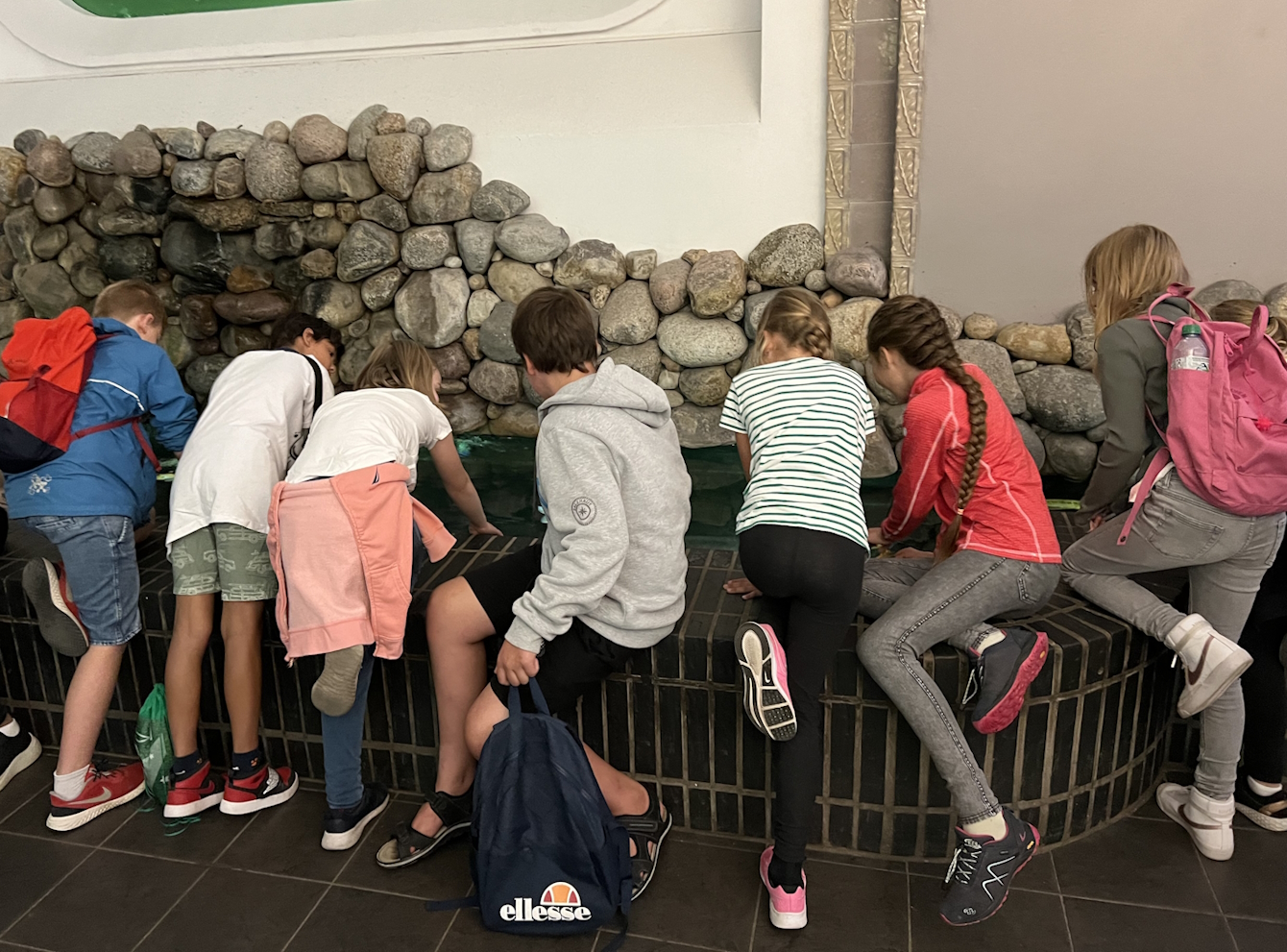 Kinder sitzen am Rand eines Fischbeckens und schauen hinein.
