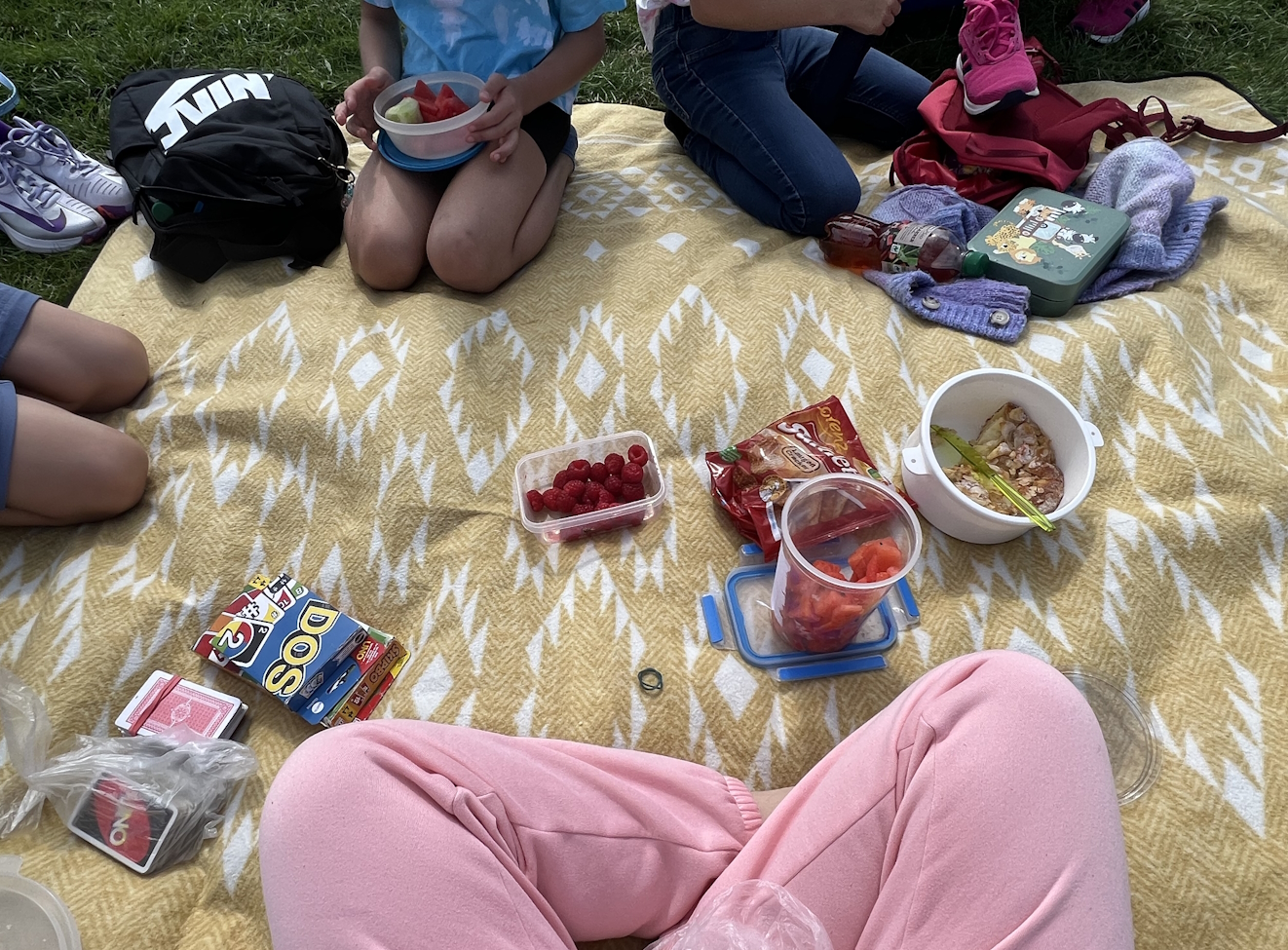 Picknickdecke mit Essen. Darum herum sitzen vier Mädchen.