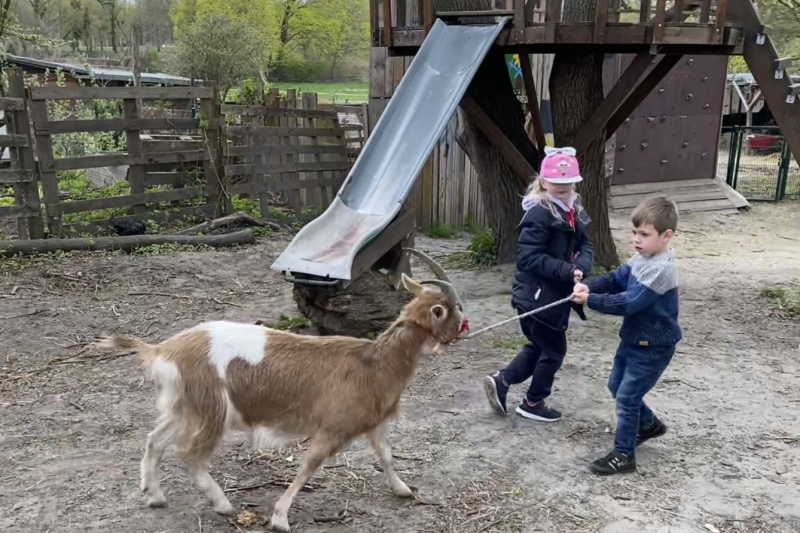Zwei Kinder führen eine Ziege aus. Im Hintergrund ein Baumhaus mit Rutsche.