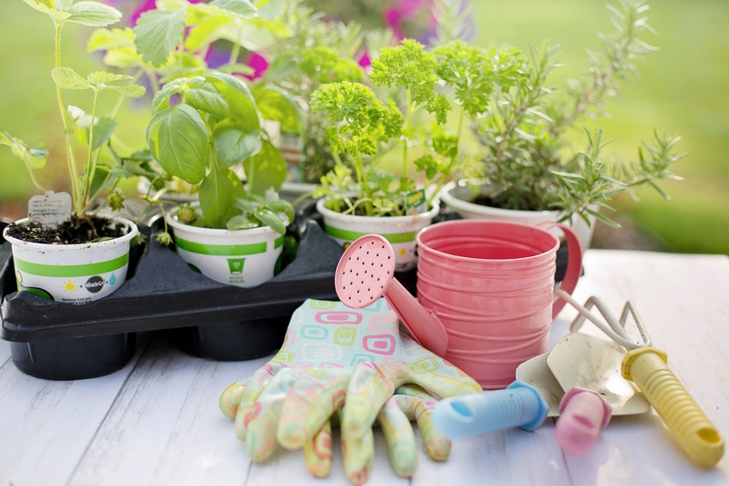 Junge Salatpflanzen in Töpfen, dazu Handschuhe, Schaufel, Hacke und Gießkanne in Rosa, Hellblau, Hellgelb